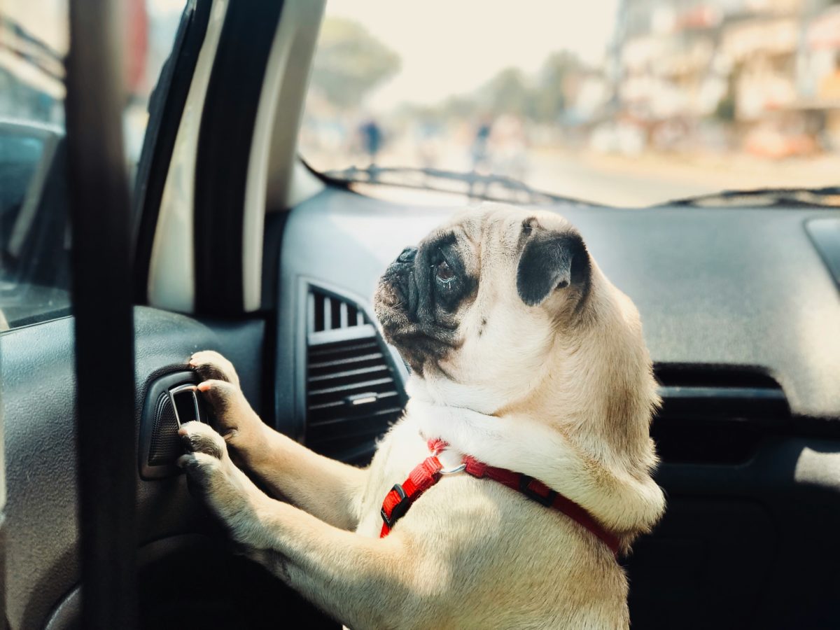 anand-thakur-6V4xzeGFbT0-unsplash-1200x900.jpg