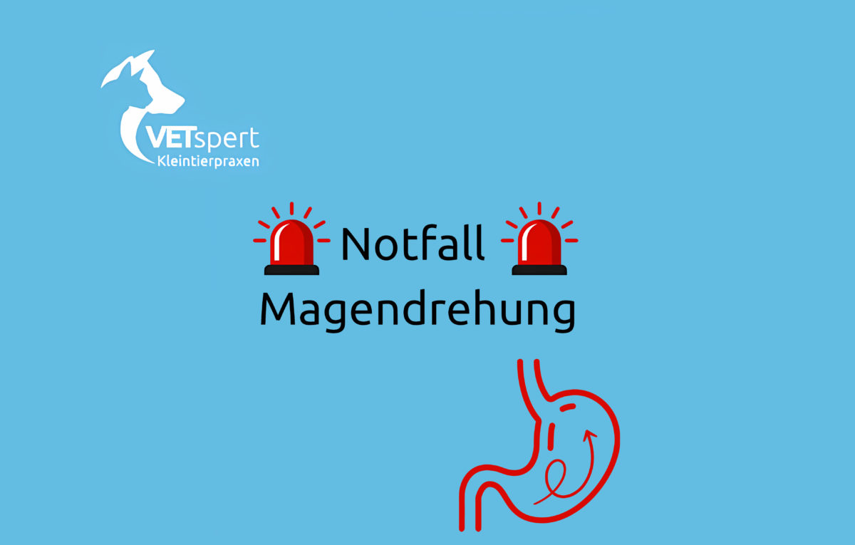 Notfall-Magendrehung__VetSpert-online-1200x765.jpg