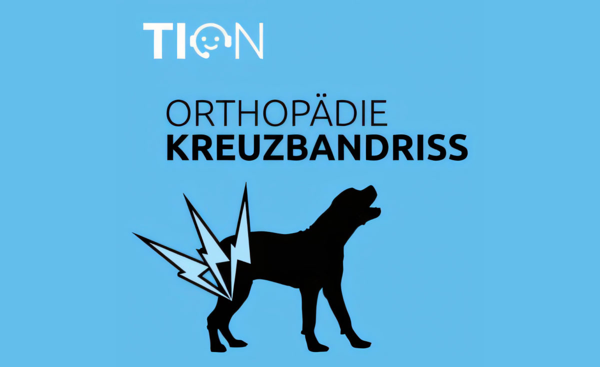 podcast3__TION_-1200x734.jpg